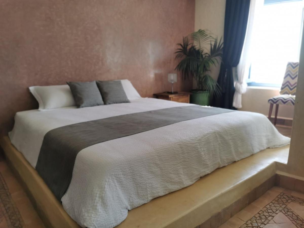 Teddy Pirate - Coliving Auberge de jeunesse